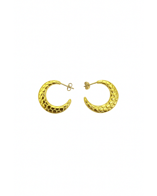 Golden scales hoops - Anti tarnish