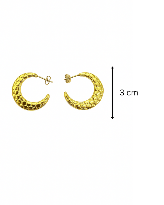 Golden scales hoops - Anti tarnish