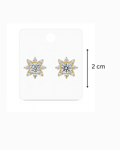 Silver stone studs