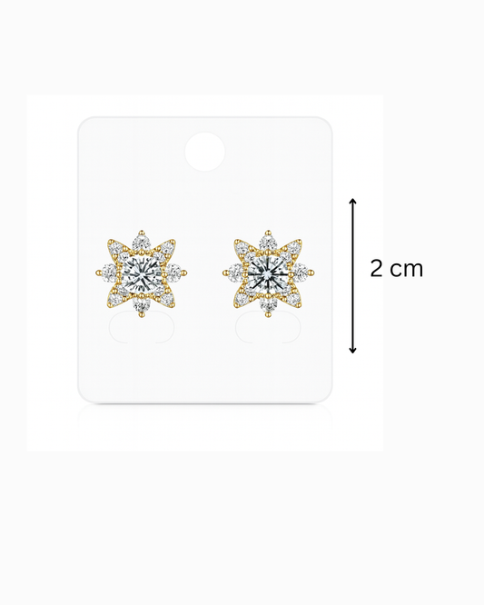 Silver stone studs