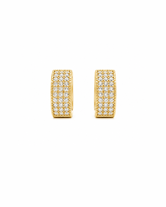 Golden diamond studed squircle hoops