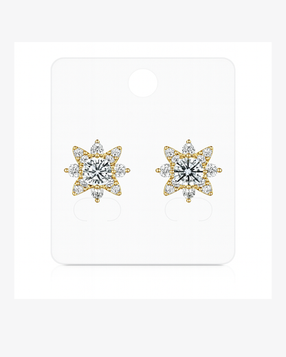 Silver stone studs
